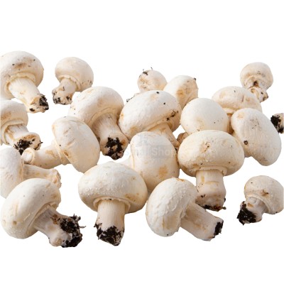 Шампиньоны свежие 500 г - купить в Ахматово